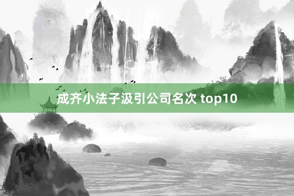 成齐小法子汲引公司名次 top10